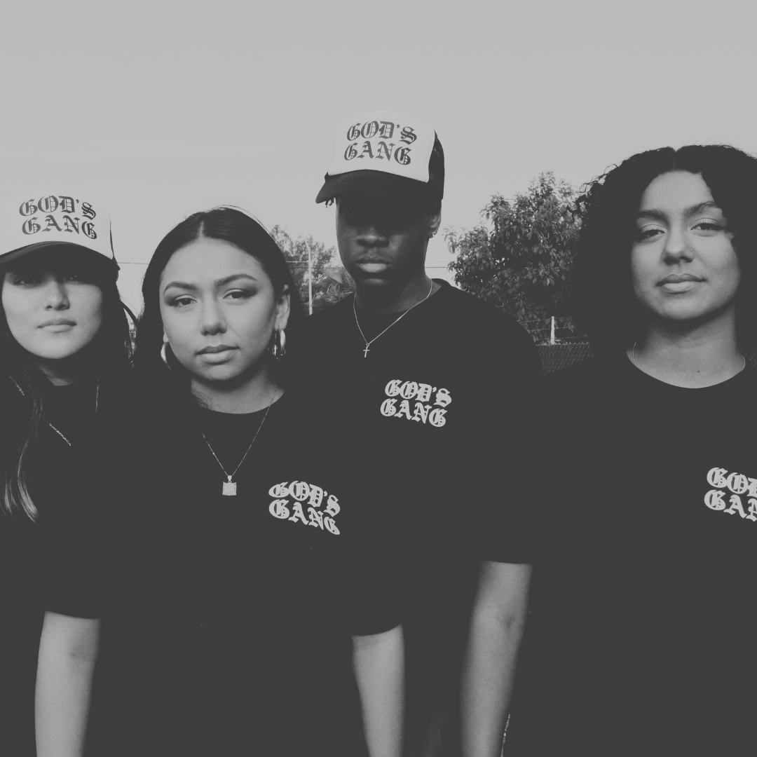 New School Collection